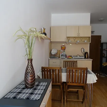 Apartment Gerber 2 Studio Sunny Beach